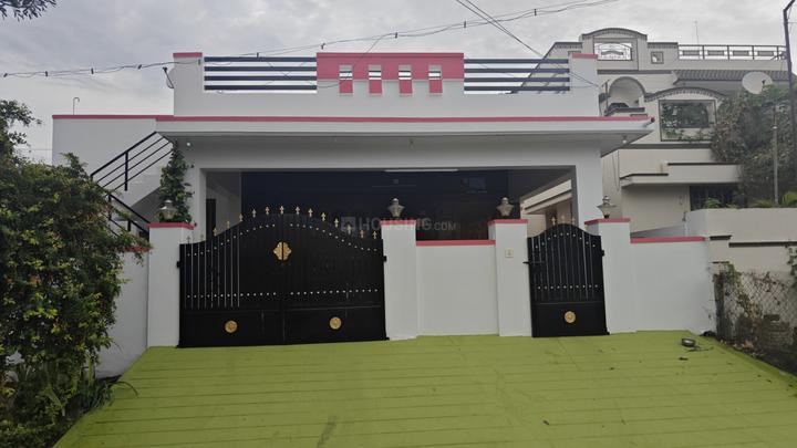 Karamadai Main Image 1