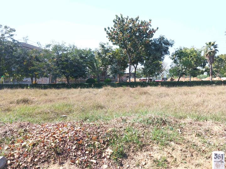 QVC G99 Main Image 1