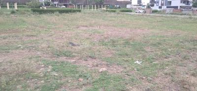 Residential Plot