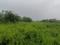 Rohini sector 34 Main Image 1