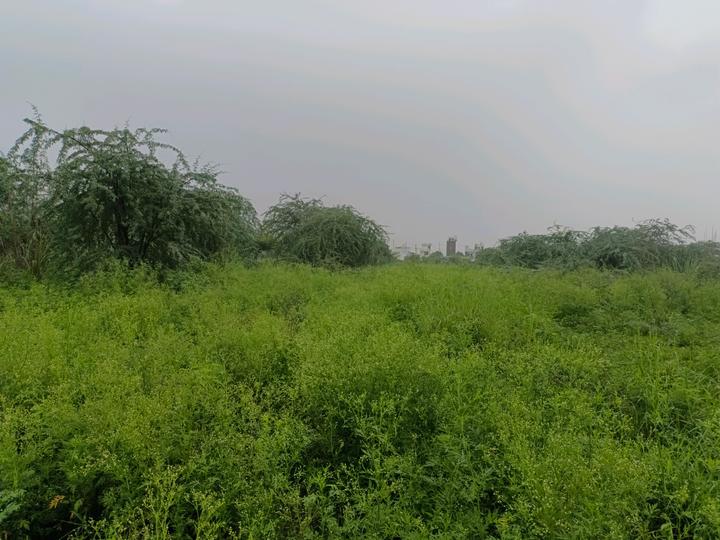 Rohini sector 34 Main Image 1