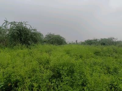 Rohini sector 34 Plot View 1