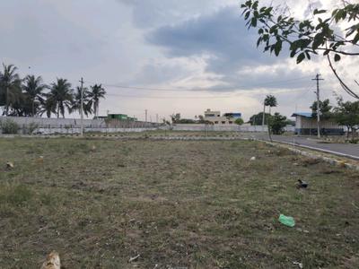 Residential Plot