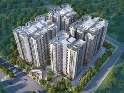 3 BHK Flat