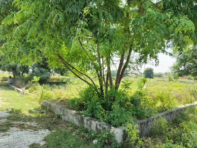 Image of 125 Sq.ft Residential Plot / Land for sale in VKG Palm Village, Bhanauta, Greater Noida for Rs. 4375500