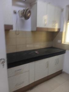 Kitchen Image of 2500 Sq.ft 4 BHK Apartment / Flat for sale in Corona Optus, Sector 37C Gurgaon for Rs. 33000000