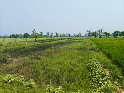 Sonarpur Plot View 1