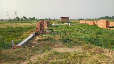 Bihta Plot View 2