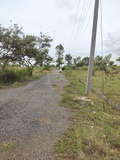 Concorde mist valley Main Image 1