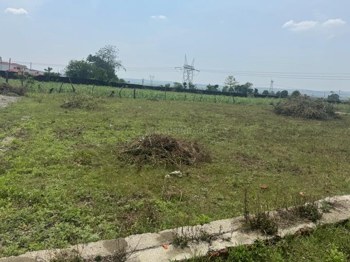 Doiwala Main Image 1