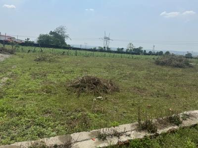 Doiwala Plot View 1