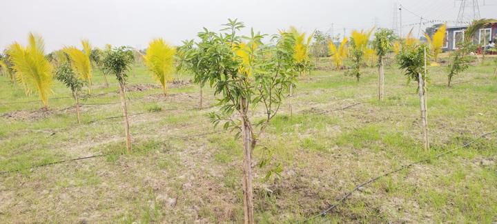 Walajabad Main Image 1