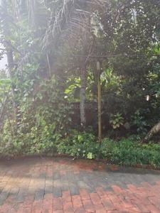 Image of 11000 Sq.ft 5 BHK Independent House for sale in Palazhi, Kozhikode for Rs. 80000000