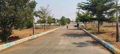 Residential Plot