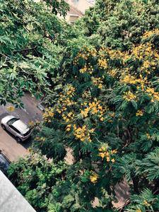 Balcony Image of 650 Sq.ft 1.5 BHK Builder Floor for sale in New Alipore Kolkata for Rs. 3000000