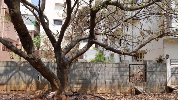 Dr.Shivaram Karanth Nagar Main Image 1