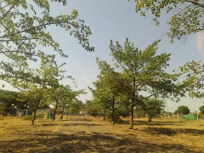 Residential Plot