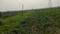 Khusrupur Main Image 1