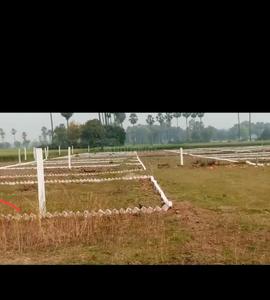 Residential Plot