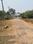 Chippada Thagarapuvalasa Main Image 1