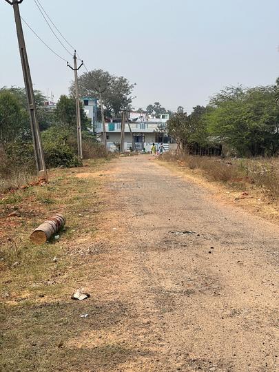 Chippada Thagarapuvalasa Main Image 1