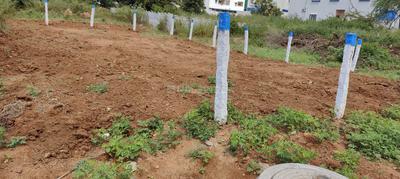Residential Plot