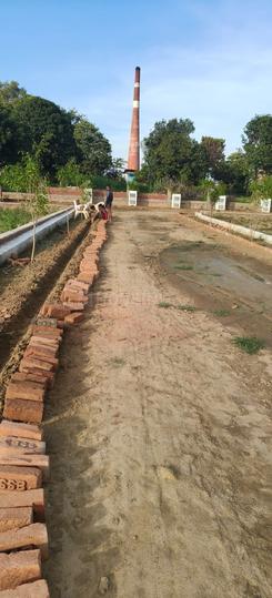 Rolex shyam vatika Main Image 1