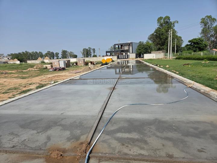 Orange Flower Valley Main Image 1