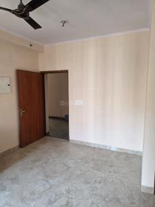 Hall Image of 585 Sq.ft 1 BHK Apartment / Flat for rent in Amrapali Dream Valley 2, Noida Extension Greater Noida for Rs. 17000