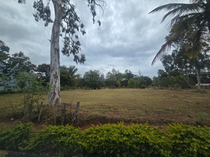 Down Town Park Main Image 1