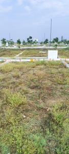 Bothali Plot View 1
