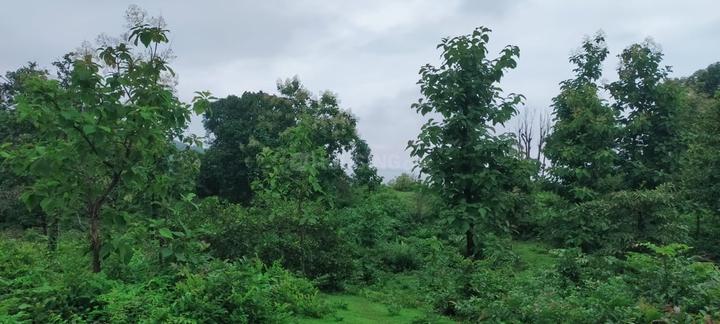 Salcete Main Image 1