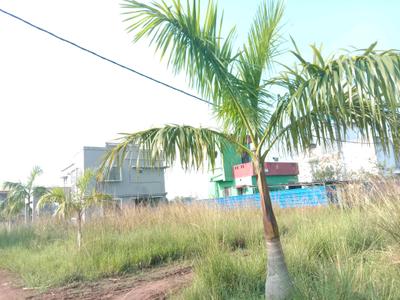 Image of 720 Sq.ft Residential Plot / Land for sale in Vriddhi Fresco Fountain City, Sankharipota, Raypur for Rs. 350007