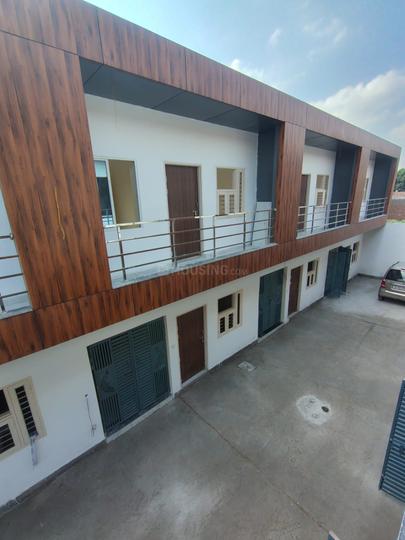 Bishnuli Main Image 1