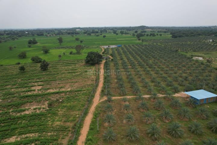 Jogipet Main Image 1