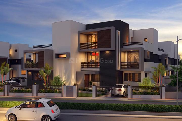 Elenza Greenwood Main Image 1