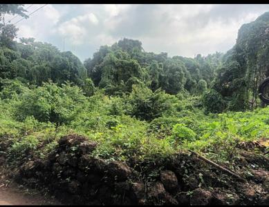 Image of 5114 Sq.ft Residential Plot / Land for sale in Ucassaim, Goa for Rs. 16625000