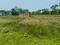 Sonarpur Main Image 1