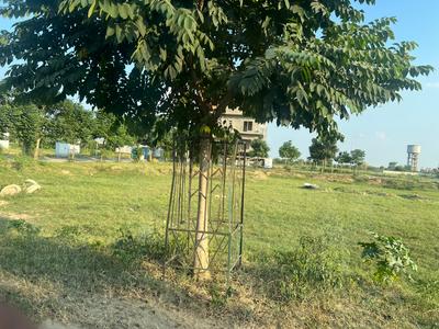 Image of 1215 Sq.ft Residential Plot / Land for sale in Wave City, Ghaziabad for Rs. 16000000