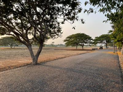 Residential Plot