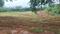 Duvvada Main Image 1