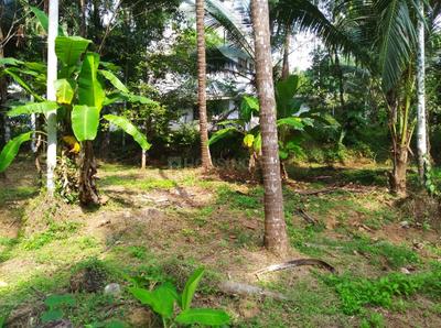 Image of 7832 Sq.ft Residential Plot / Land for sale in Villiappally, Kozhikode for Rs. 4860000
