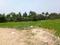 Natures Paradise Main Image 1