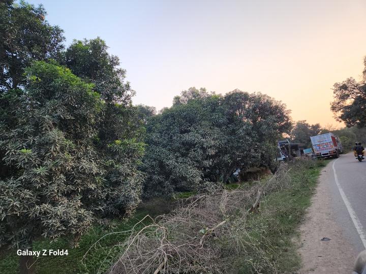 Residential 1000 Sqft Plot for sale at Bijnor, Lucknow Property ID