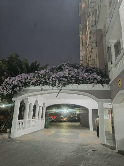 Spanish garden Main Image 1