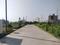 Amolik Aster Woods Internal Roads 2
