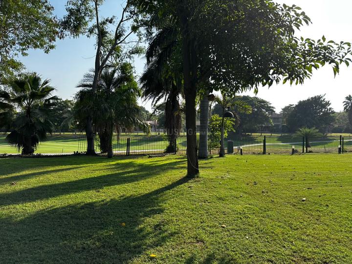 Navratna Kalhaar Blues And Greens Main Image 1