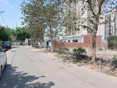 Jaypee Aman Internal Roads 1