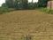 Dasepur Main Image 1