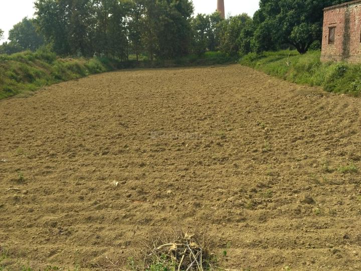 Dasepur Main Image 1